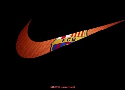 足球直播-世俱杯赞助项目资金预算编制与动态监控机制